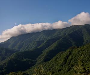 Foreste Casentinesi (G. Giacomini)