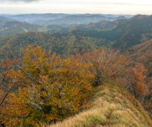 Place to visit Parco Nazionale Foreste Casentinesi